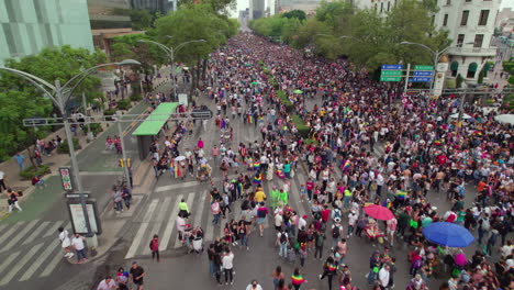 Vuelo-Aéreo-Sobre-Grandes-Multitudes-Reunidas-A-Lo-Largo-De-La-Caminata-De-Reforma-El-25-De-Junio,