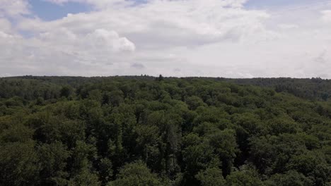 Weiche-Wolken-über-Einem-Dunkelgrünen-Dickicht-An-Einem-Windigen-Sommertag-In-Mitteleuropa