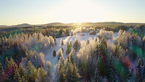 Aerial-view-stunning-rainbow-sunrays-shining-on-Scandinavian-snow-covered-woodland-trees