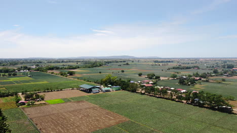 Aerial-view-of-green-wide-field,-houses-and-trees-with-clear-sky-during-daytime-in-4K-quality
