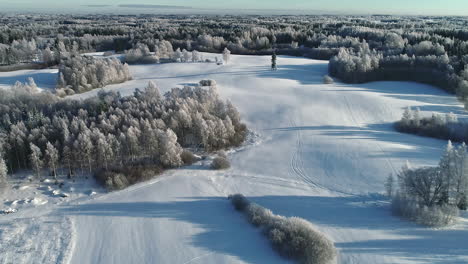 Aerial-drone-forward-moving-shot-of-cold-winter-landscape-arctic-field-surrounded-by-trees-covered-with-frost-snow-on-a-winter-day