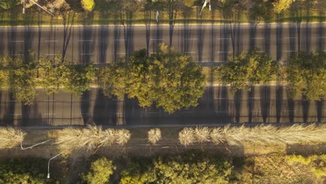 Aerial-top-down-shot-of-empty-boulevard-road-next-to-River-in-Buenos-Aires-at-sunset