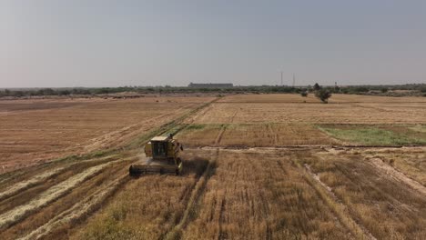 Static-view-of-wheat-harvesting