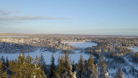 Aerial-view-above-idyllic-sunny-snow-covered-woodland-Norrbotten-Sweden-polar-wilderness