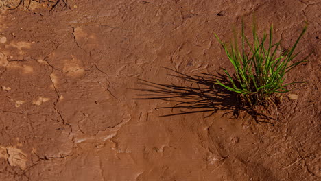 Wet-cracked-ground-in-desert-drying-during-heat,time-lapse-shot
