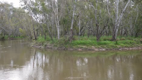 A-bend-in-the-Ovens-River-near-Peechelba-near-where-it-enters-the-Murray-River-in-north-east-Victoria,-Australia-November-2021