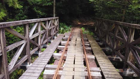Alte-Holzeisenbahnbrücke,-Wanderung-über-Yakushima-Durch-Shiratani-Unsuikyo