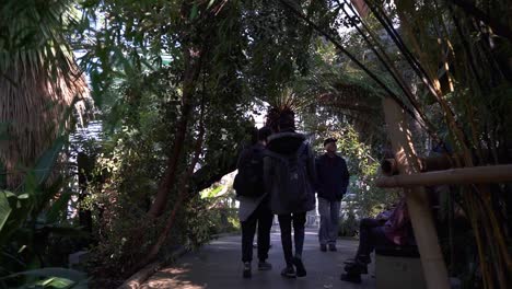 Cámara-Lenta-De-Personas-Caminando-Por-El-Medio-De-Los-Jardines-De-Invierno-En-Sheffield,-Inglaterra