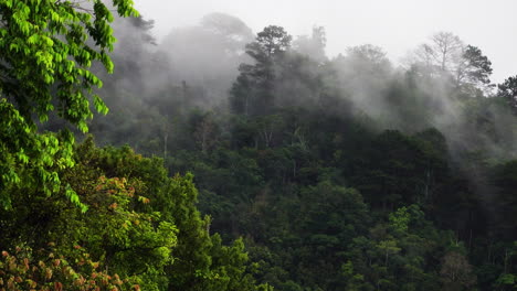 Tief-Liegende-Wolken-Verhüllen-Die-Berggipfel-In-Nebligen-Wäldern,-Phan-Rang,-Dalat