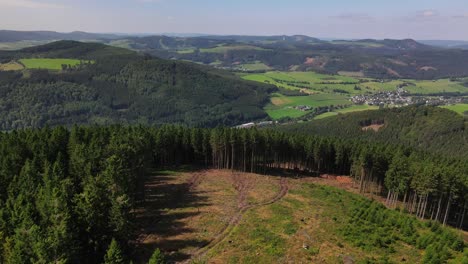 Aerial-view,-fir-trees-in-a-hilly-landscape