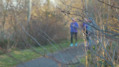 Gruppe-Von-Frauen,-Die-Gemeinsam-Den-Waldweg-Entlang-Laufen