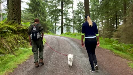 Slow-motion-shot-of-brother-and-sister-with-cute-dog-hiking-on-rural-forest-path-during-cloudy-day-in-Ireland---Growing-fern-and-moss-on-mountain