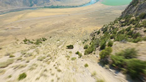 Fast-FPV-drone-flying-down-dry-river-valley-mountain-hill-with-pine-trees