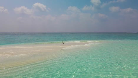 The-bird-stands-on-a-sandbank-washed-from-two-sides-by-turquoise-water