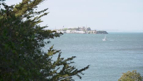 Schiff-Segelt-In-Der-Nähe-Der-Insel-Alcatraz