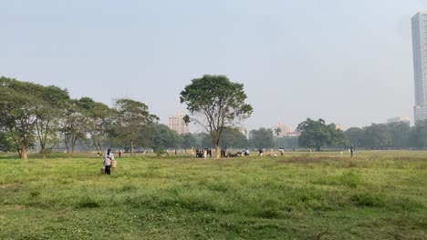 Panoramic-view-of-Kolkata-maidan-with-the-tallest-building-of-the-city-in-the-background-on-a-beautiful-morning-during-winter