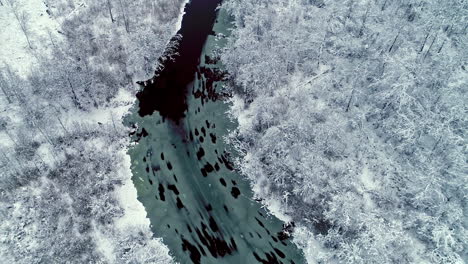 Winter-aerial-view-of-a-forest-covered-with-dense-layer-of-white-snow-and-a-partly-frozen-frozen-river
