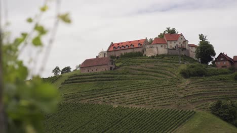 Vineyard-at-Durbach-along-Wine-Route,-Germany