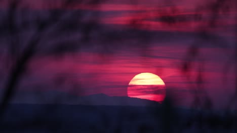 Dramatischer-Sonnenuntergang-Mit-Rosafarbenem-Himmel-Hinter-Bokeh-Laub