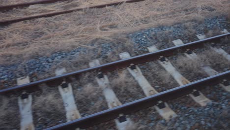 Train-Tracks-view-of-motion-as-traveling-across-countryside