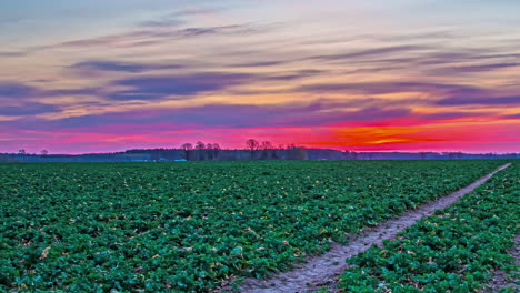 Time-lapse-shot-of-clouds-at-sky-during-golden-sunrise-behind-farm-field-in-countryside