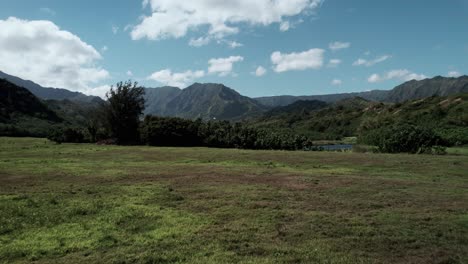 A-small-white-bird-flies-across-a-beautiful-panoramic-scene-of-mountains,-North-Shore-Kauai,-aerial