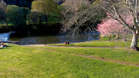 Luftaufnahme-über-Einer-Sonnigen-Rasenfläche-Im-Park-Mit-Menschen,-Die-Ein-Picknick-In-Coruna,-Spanien-Genießen