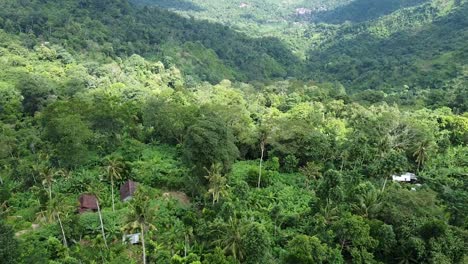 Birds-eye-view-over-isolated,-secluded-and-unapproachable-huts-amidst-dense-green-forest