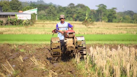 Bauern-Pflügen-Reisfelder-Mit-Einem-Traktor,-Einem-Traditionellen-Reisfeldpflug