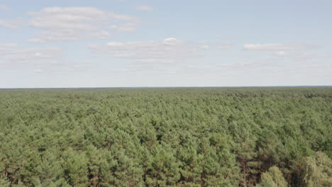 Aerial-ascending-shot-of-a-vast-forest