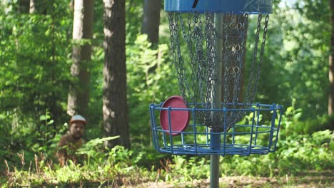 Discgolfwagen-Im-Wald