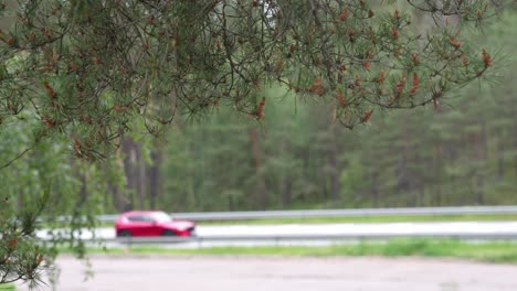 Static-shot-of-roadside-tree-in-foreground-with-cars-passing-on-highway-in-background