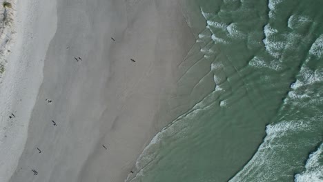 Luftaufnahme-Von-Oben-Nach-Unten-Mit-Türkisfarbenen-Meereswellen-Am-Big-Bay-Beach-In-Südafrika