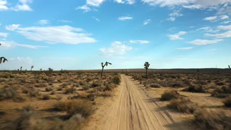 An-off-road-trail-in-the-Mojave-Desert-with-Joshua-trees-along-the-trail