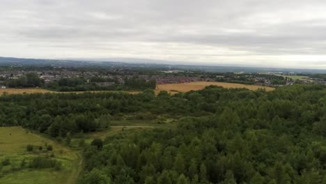 Aerial-view-panning-above-British-woodland-forest-trees-in-scenic-rural-countryside-park-wilderness