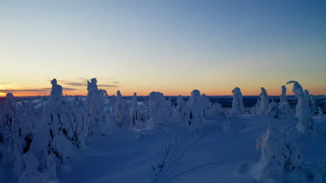 Idyllic-freezing-snow-covered-alien-Lapland-landscape-aerial-view-rising-above-forest-trees-at-sunrise