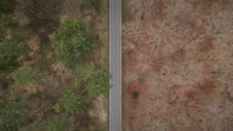 Overhead-aerial-view-of-an-empty-highway-that-divides-deciduous-from-coniferous-trees