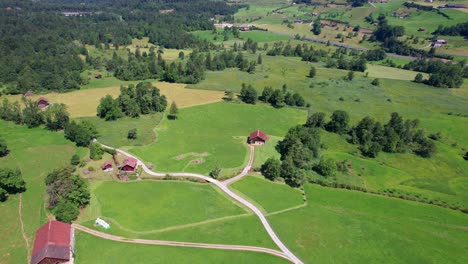 Aerial-view-of-forest-and-farmhouses