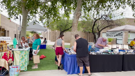 Wöchentlicher-Erbstücker-Bauernmarkt-In-Green-Valley,-Arizona