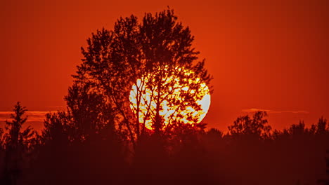 Timelapse-shot-of-sun-setting-behind-distant-forest-skyline-during-evening-time
