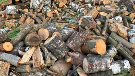 Close-up-of-chopped-firewood
