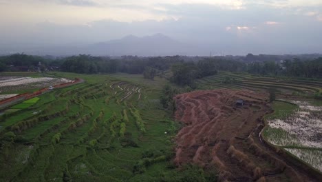 Aerial-flyover-terraced-Rice-Fields-in-Indonesia-during-cloudy-day---Hiding-mountain-silhouette-in-background