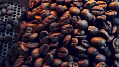 Scooping-coffee-beans-out-of-the-roaster---slow-motion-close-up-detail
