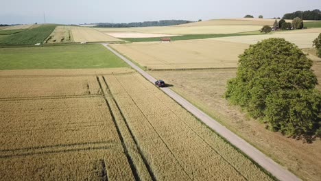 A-volvo-car-drives-on-a-small-road-between-large-wheat-fields-in-the-countryside,-Vaud,-Switzerland,-high-altitude-drone-view