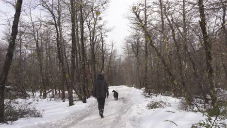 Woman-and-dog-walking-along-a-snowy-path-in-a-forest-in-Patagonia