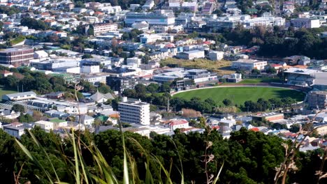 Campo-De-Cricket-De-La-Reserva-De-La-Cuenca-De-Wellington-Para-Partidos-De-Prueba-Y-Hogar-Del-Equipo-De-Pájaros-De-Fuego-De-Wellington-En-La-Capital,-Nueva-Zelanda-Aotearoa