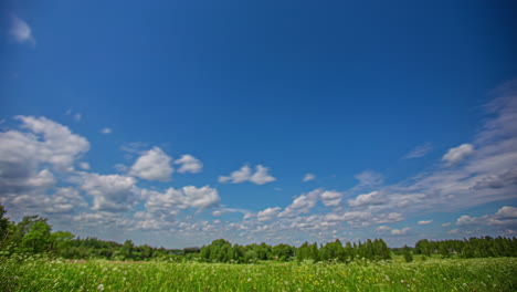 Low-angle-shot-of-white-Cumulus-clouds-passing-by-in-timelapse-over-green-grasslands-surrounded-by-trees-on-a-bright-sunny-day