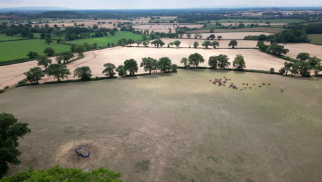 Eine-Luftaufnahme-Von-Erntebereiten-Weizenfeldern-An-Land-In-Worcestershire,-England