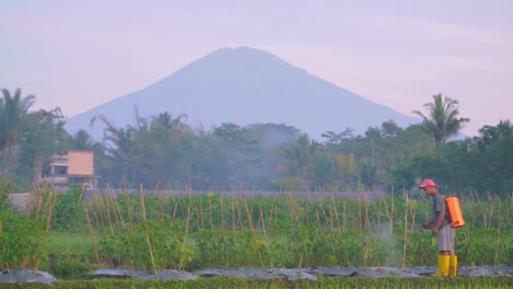 Un-Agricultor-Que-Trabaja-En-La-Plantación-Con-Antecedentes-Montañosos-En-Magelang,-Java-Central,-Indonesia-El-1-De-Agosto-De-2022