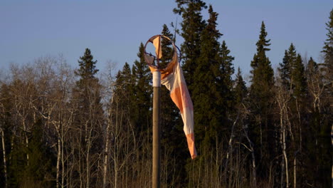 Broken-Windbag-With-Spruce-Forest-In-Background-At-Fort-St